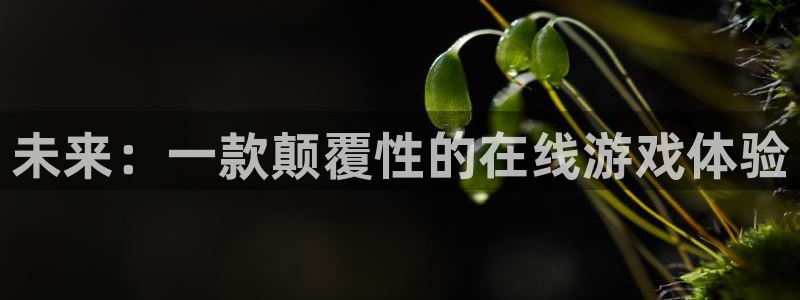 非凡游戏：未来：一款颠覆性的在线游戏体验