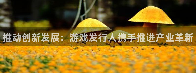 非凡游戏代理开号怎么开：推动创新发展：游戏发行人携手推进产业革新