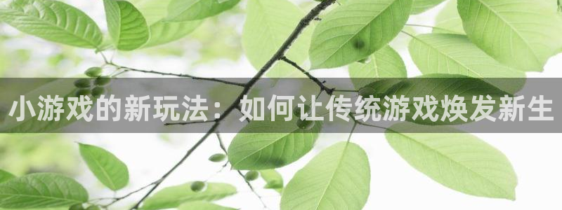 非凡游戏官网技术有限公司