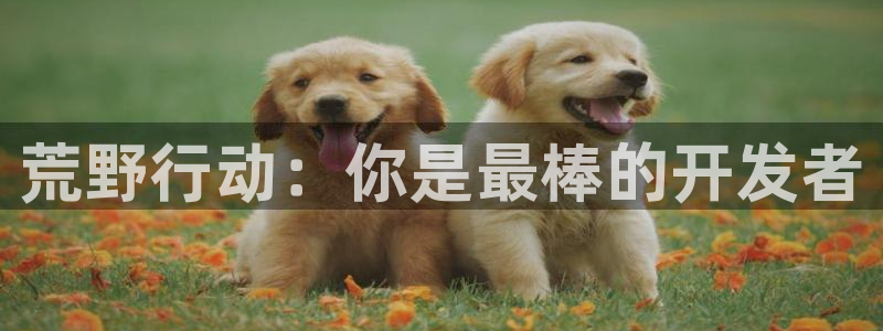 非凡游戏注册地址查询官网：荒野行动：你是最棒的开发者