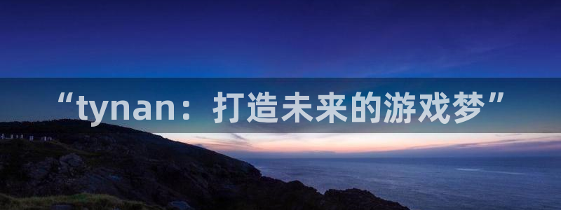 非凡游戏官网服装品牌：“tynan：打造未来的游戏梦”