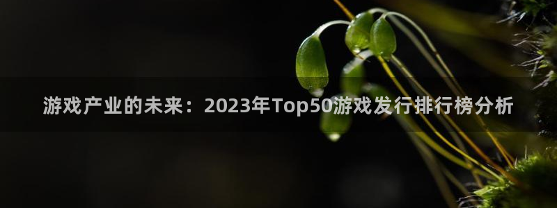 非凡游戏官网子文化创意有限公司特邀玩家：游戏产业的未来：2023年Top50游戏发行排行榜分析