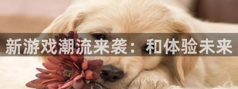 非凡游戏客服招聘：新游戏潮流来袭：和体验未来