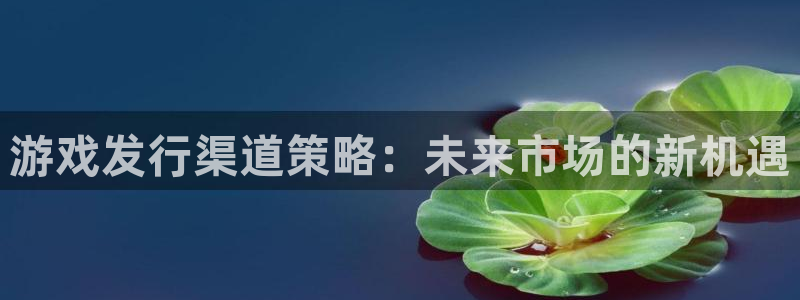 四川非凡游戏官网科技有限公司怎么样