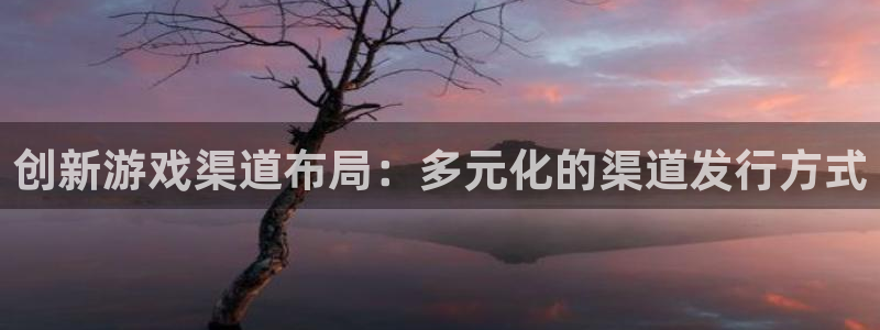 非凡游戏官网lvnces是什么档次：创新游戏渠道布局：多元化的渠道发行方式