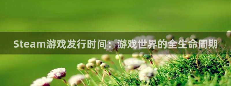 四川非凡游戏官网科技有限公司招聘