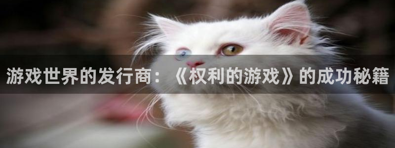 非凡游戏官网子小说