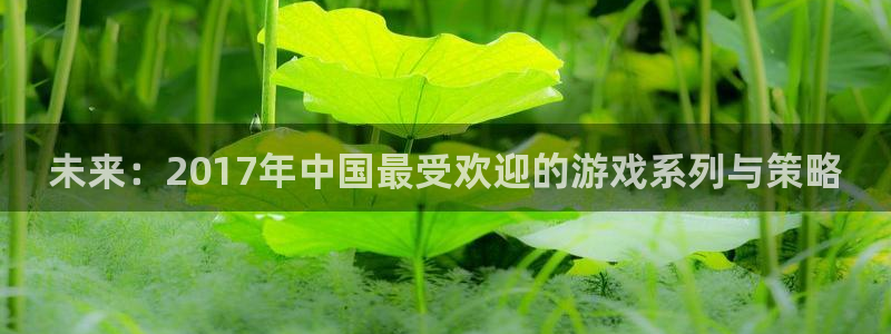 非凡游戏官网集团公司怎么样：未来：2017年中国最受欢迎的游戏系列与策略