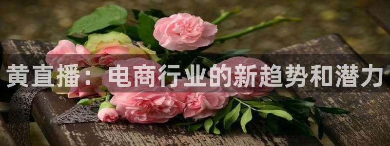nba直播极速体育直播吧触屏版：黄直播：电商行业的新趋势和潜力
