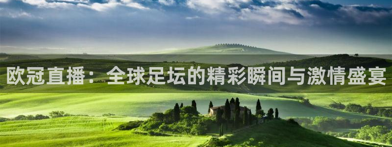 极速直播jrs：欧冠直播：全球足坛的精彩瞬间与激情盛宴