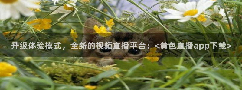 极速体育视频在线直播：升级体验模式，全新的视频直播平台：<黄色直播app下载>