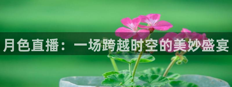 极速体育足球直播：月色直播：一场跨越时空的美妙盛宴